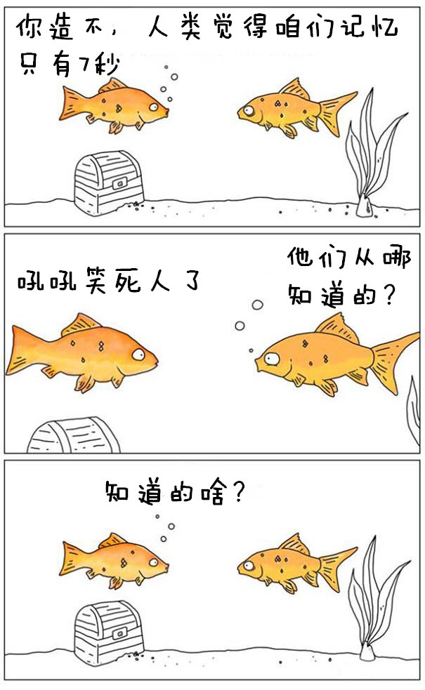 鱼的记忆动画漫画gif搞笑图片