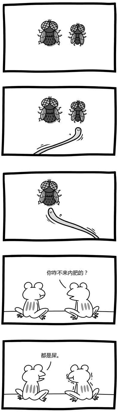 论青蛙为啥不爱吃大苍蝇动画漫画gif搞笑图片