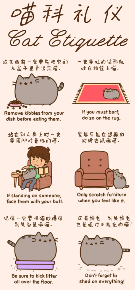 动漫英汉对照：喵科礼仪动画漫画gif搞笑图片