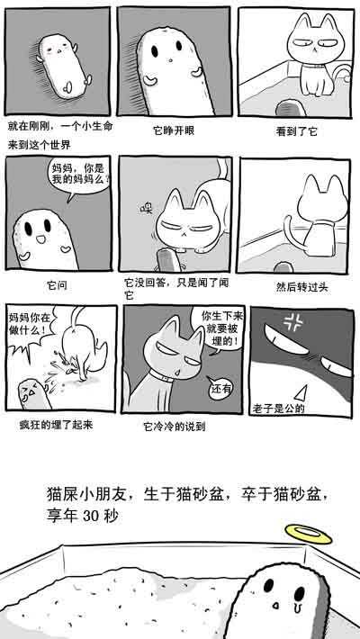 可怜的猫屎小朋友。。。真的萌屎了动画漫画gif搞笑图片