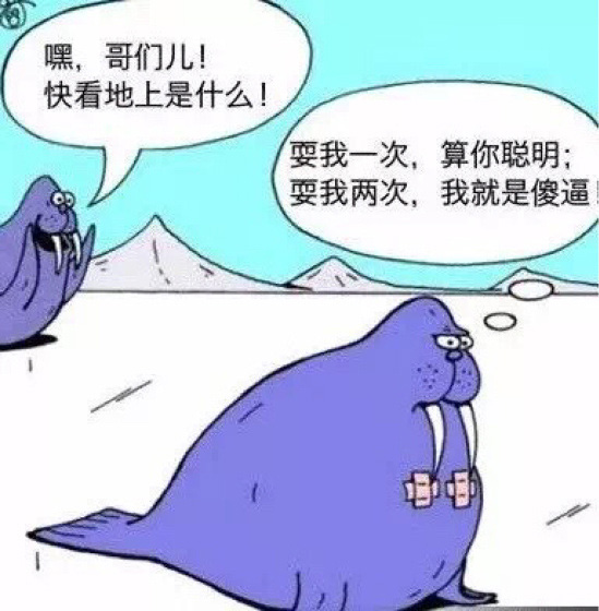 海豹之间的恶作剧动画漫画gif搞笑图片