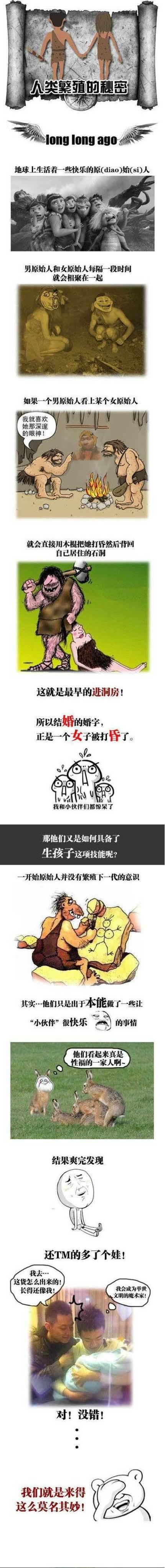 人类繁殖的秘密动画漫画gif搞笑图片