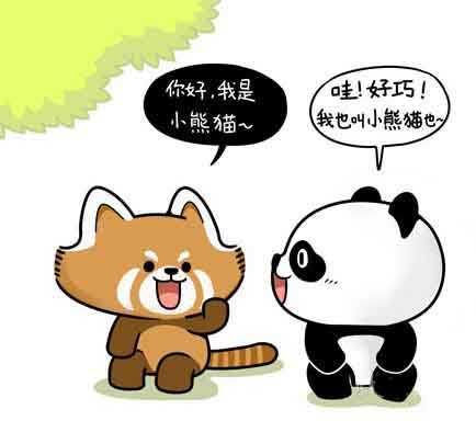 你好，我是小熊猫动画漫画gif搞笑图片