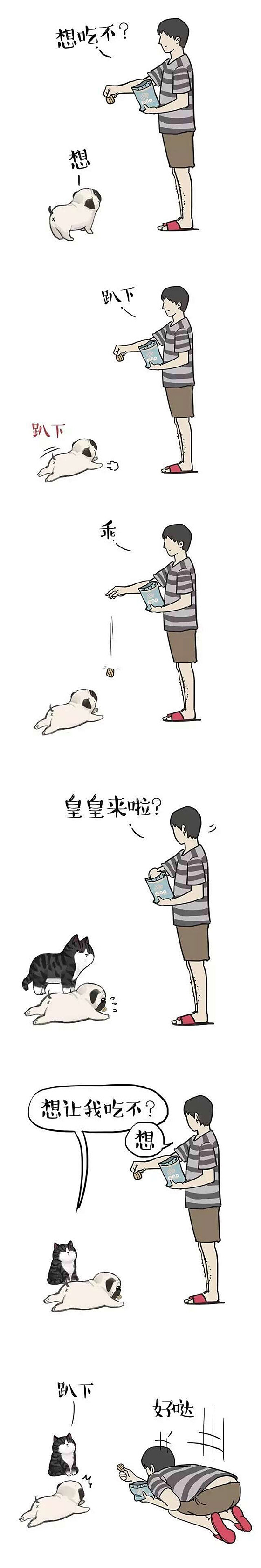 狗狗和猫咪的待遇各不同动画漫画gif搞笑图片