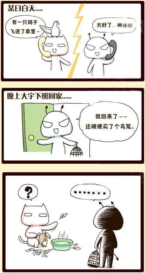 有一只鸽子飞进了家里。。。动画漫画gif搞笑图片