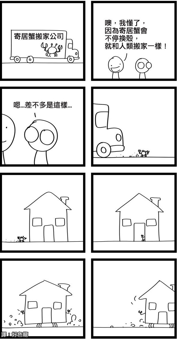 名副其实的寄居蟹搬家公司动画漫画gif搞笑图片