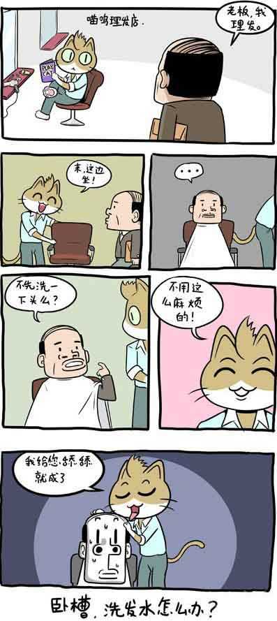 喵鸣理发店动画漫画gif搞笑图片