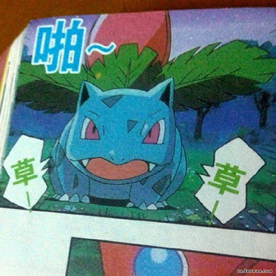 妙蛙草大概是世界上最没礼貌的神奇宝贝动画漫画gif搞笑图片