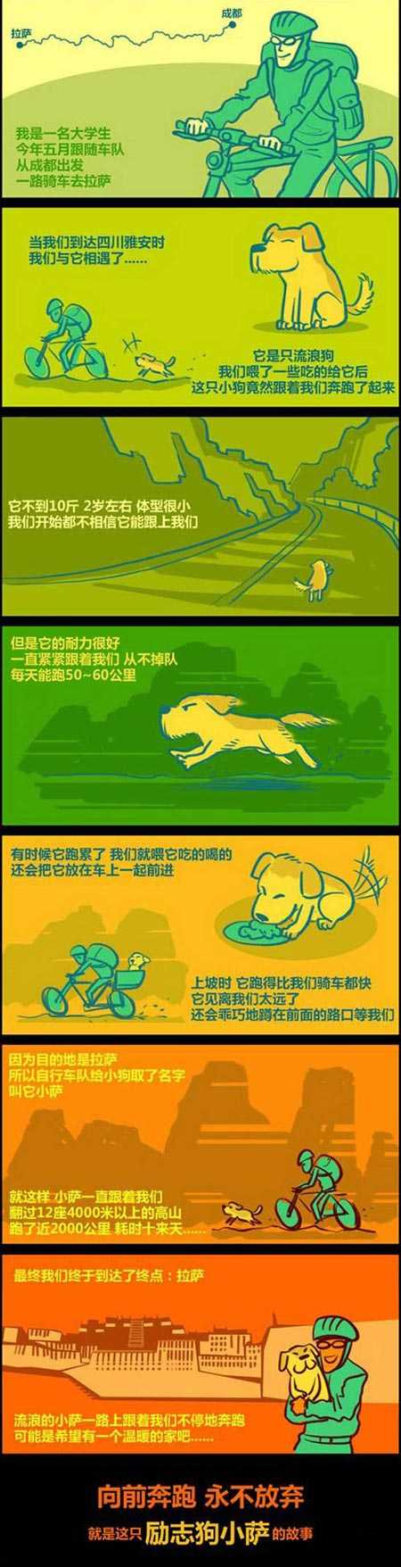 励志狗狗小萨的故事动画漫画gif搞笑图片