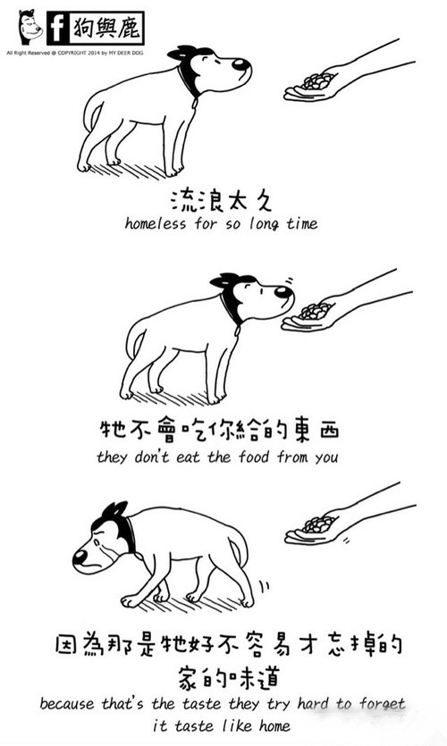 沒有家的汪星人动画漫画gif搞笑图片