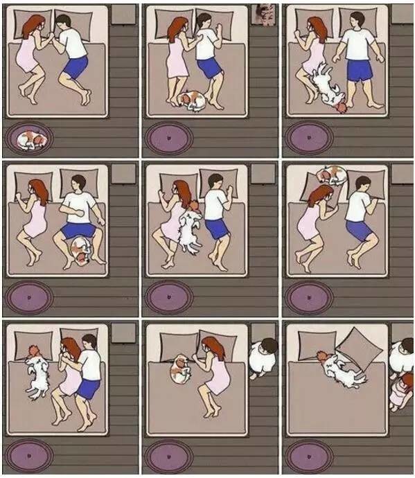 有宠物的生活动画漫画gif搞笑图片