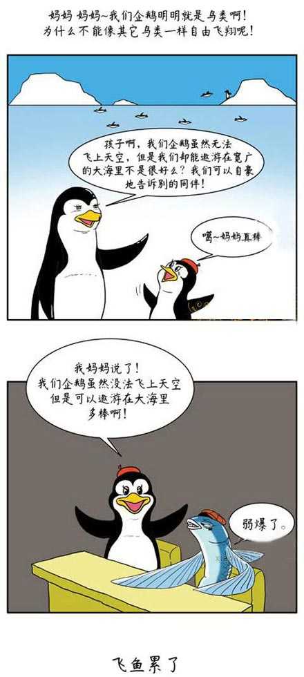 妈妈~我们企鹅是鸟类，为什么不能飞翔动画漫画gif搞笑图片