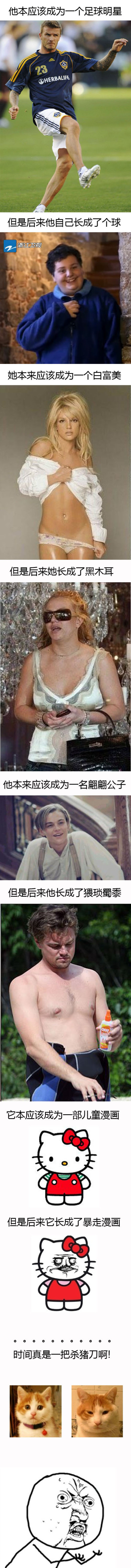 杀猪刀系列之“他本该是个足球明星，但最后自己长成了个球……”动画漫画gif搞笑图片