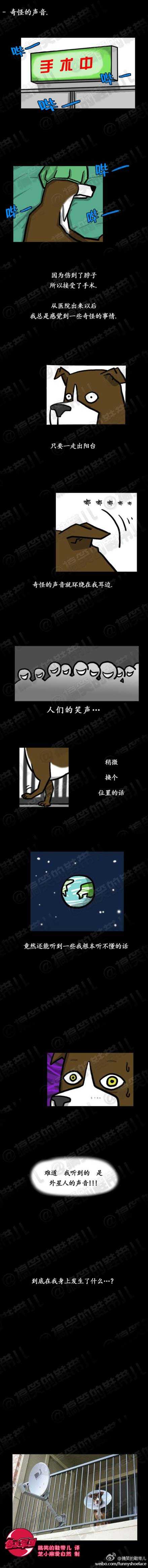 奇怪的声音动画漫画gif搞笑图片