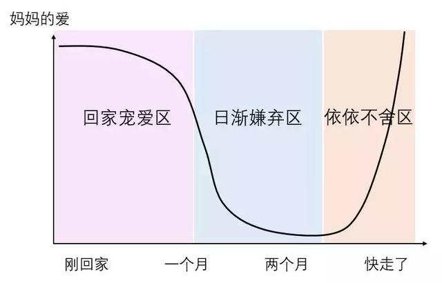 放暑假在家妈妈对我的爱动画漫画gif搞笑图片