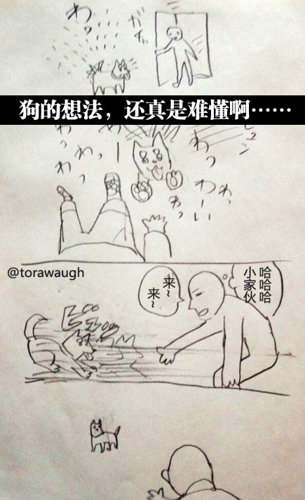 反正就是引起你的注意然后狠狠无视你……动画漫画gif搞笑图片