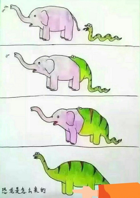 原来恐龙是这么来的动画漫画gif搞笑图片