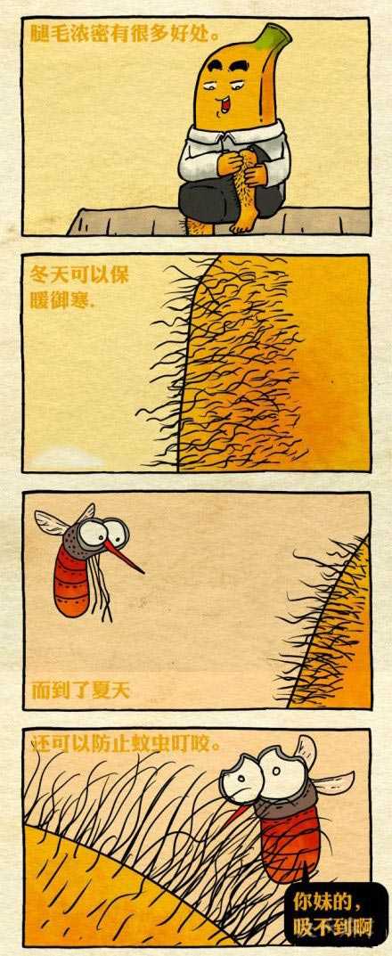 腿毛浓密有很多的好处动画漫画gif搞笑图片