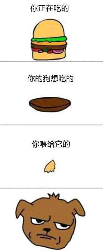 你特么在逗我？动画漫画gif搞笑图片