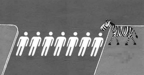 其实，我们也有斑马线地。。。动画漫画gif搞笑图片