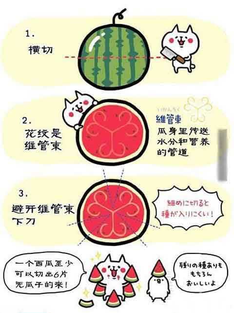 实用小贴士：超强切西瓜术！动画漫画gif搞笑图片