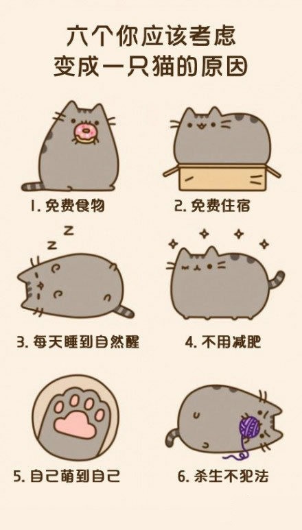 六个你应该考虑变成一只猫的原因动画漫画gif搞笑图片