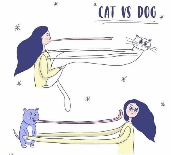 养猫和养狗的差别，非常形象了动画漫画gif搞笑图片