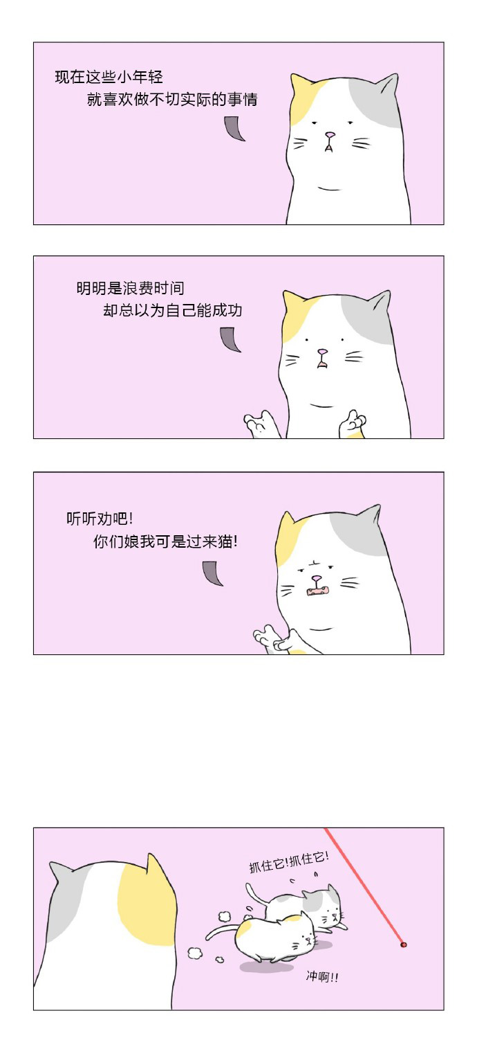猫妈妈的忠告动画漫画gif搞笑图片