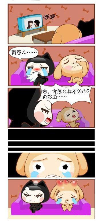 赚人眼泪的韩剧。。。动画漫画gif搞笑图片