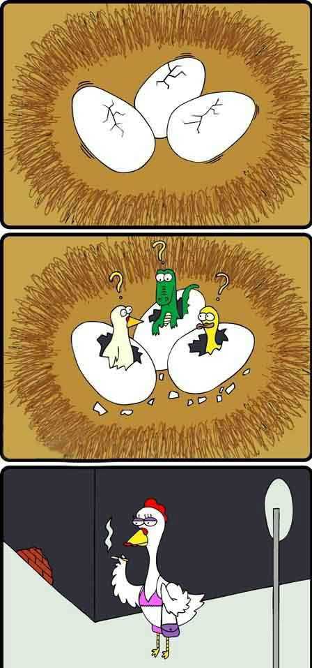 这妈貌似不靠谱动画漫画gif搞笑图片