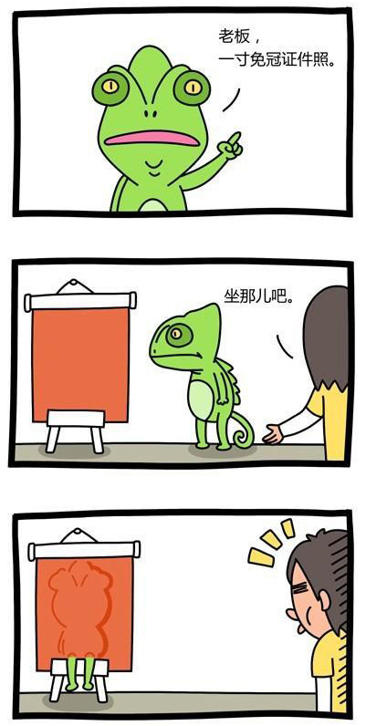 变色龙照相动画漫画gif搞笑图片