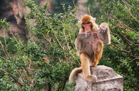 无处不太极动物gif搞笑图片