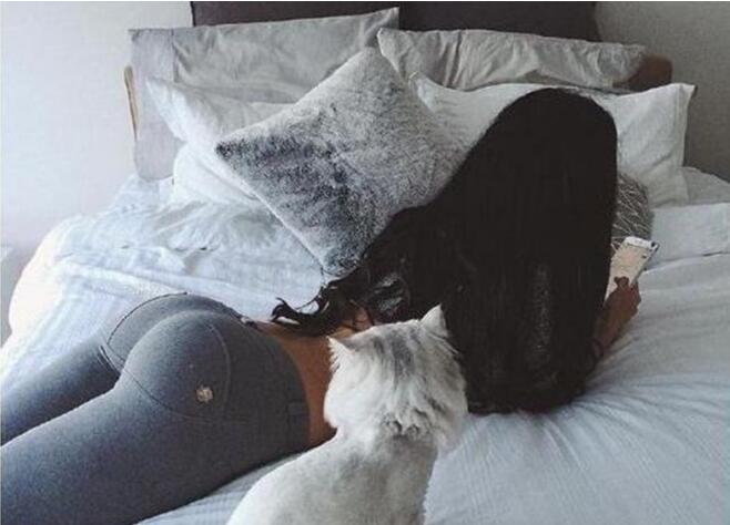 主人买了新手机之后，都不爱跟我玩了动物gif搞笑图片