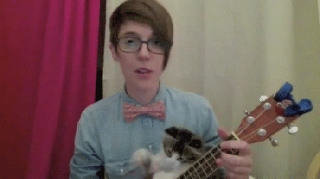 二喵，你别捣乱动物gif搞笑图片