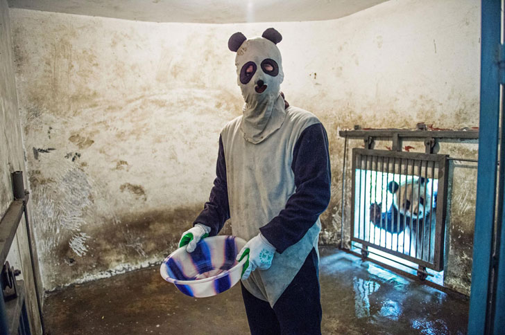 快放我出去啊动物gif搞笑图片