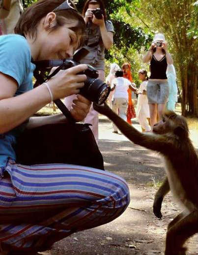 相机不是这样用的，一点都不专业动物gif搞笑图片