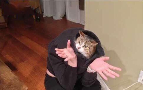 我真的什么都不知道动物gif搞笑图片