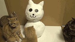 哎呀，怎么嘴巴掉了动物gif搞笑图片