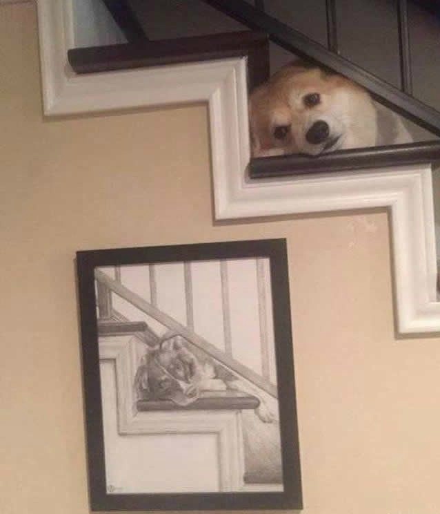 你看学得像吗？动物gif搞笑图片