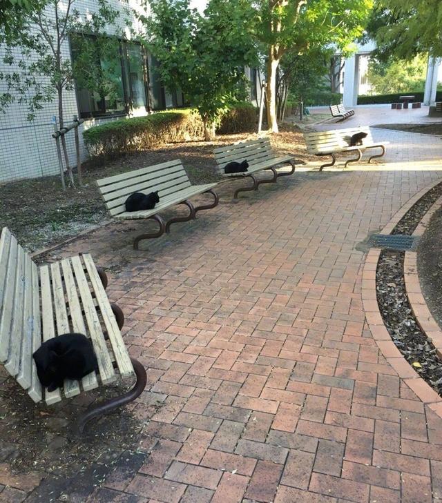 是不是关系不好动物gif搞笑图片