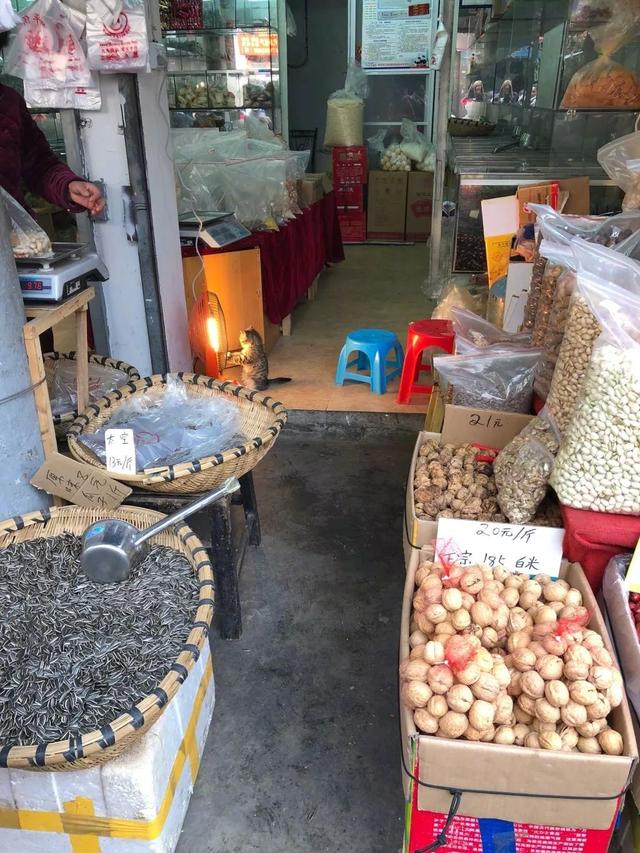 在帮家里看店动物gif搞笑图片