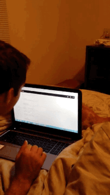 有了猫大爷后，连用电脑都是一种奢侈动物gif搞笑图片