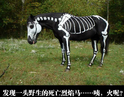 这匹马内心会不会超级不爽？动物gif搞笑图片