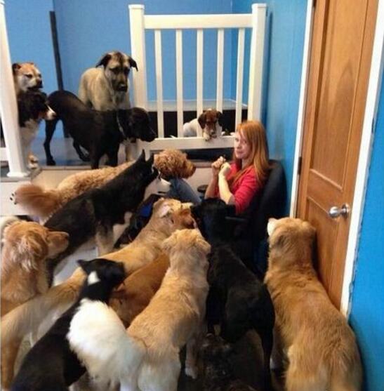 有一大波色狼向你靠近动物gif搞笑图片