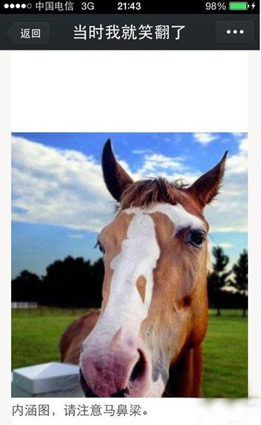 这马太性感了！动物gif搞笑图片