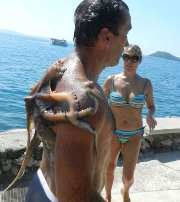 我觉得背上有点痒动物gif搞笑图片