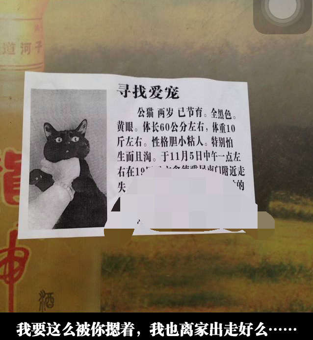 终于知道它为什么要离家出走了动物gif搞笑图片