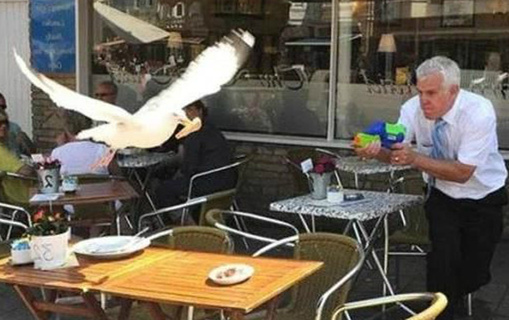 君子报仇五十年不晚动物gif搞笑图片