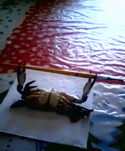 小样这么努力啊动物gif搞笑图片