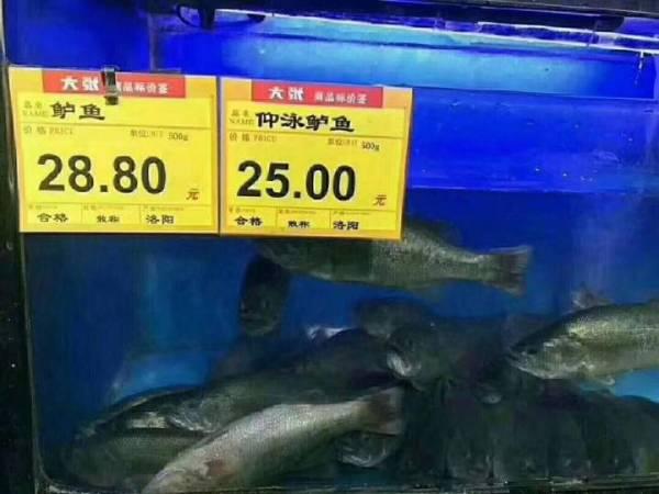 事实说明，多点技能并不能卖个好价钱动物gif搞笑图片